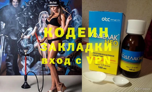 шишки Богородицк
