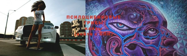 MDMA Богданович