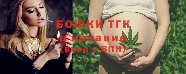 таблы Бородино