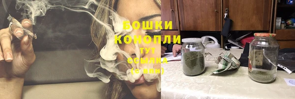 таблы Бородино