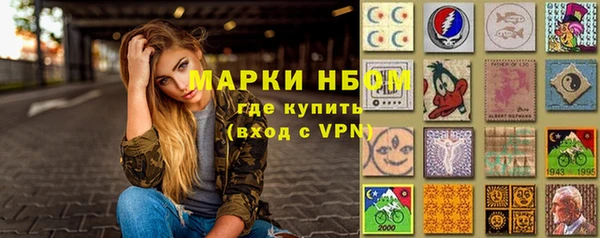 шишки Богородицк