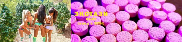 шишки Богородицк