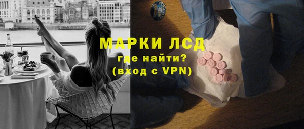 шишки Богородицк